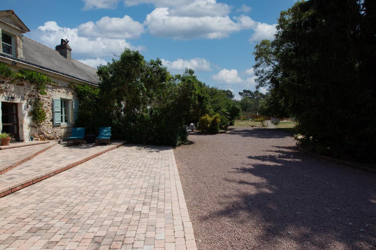 Roche-Loire Villa Le Thoureil Dış mekan fotoğraf